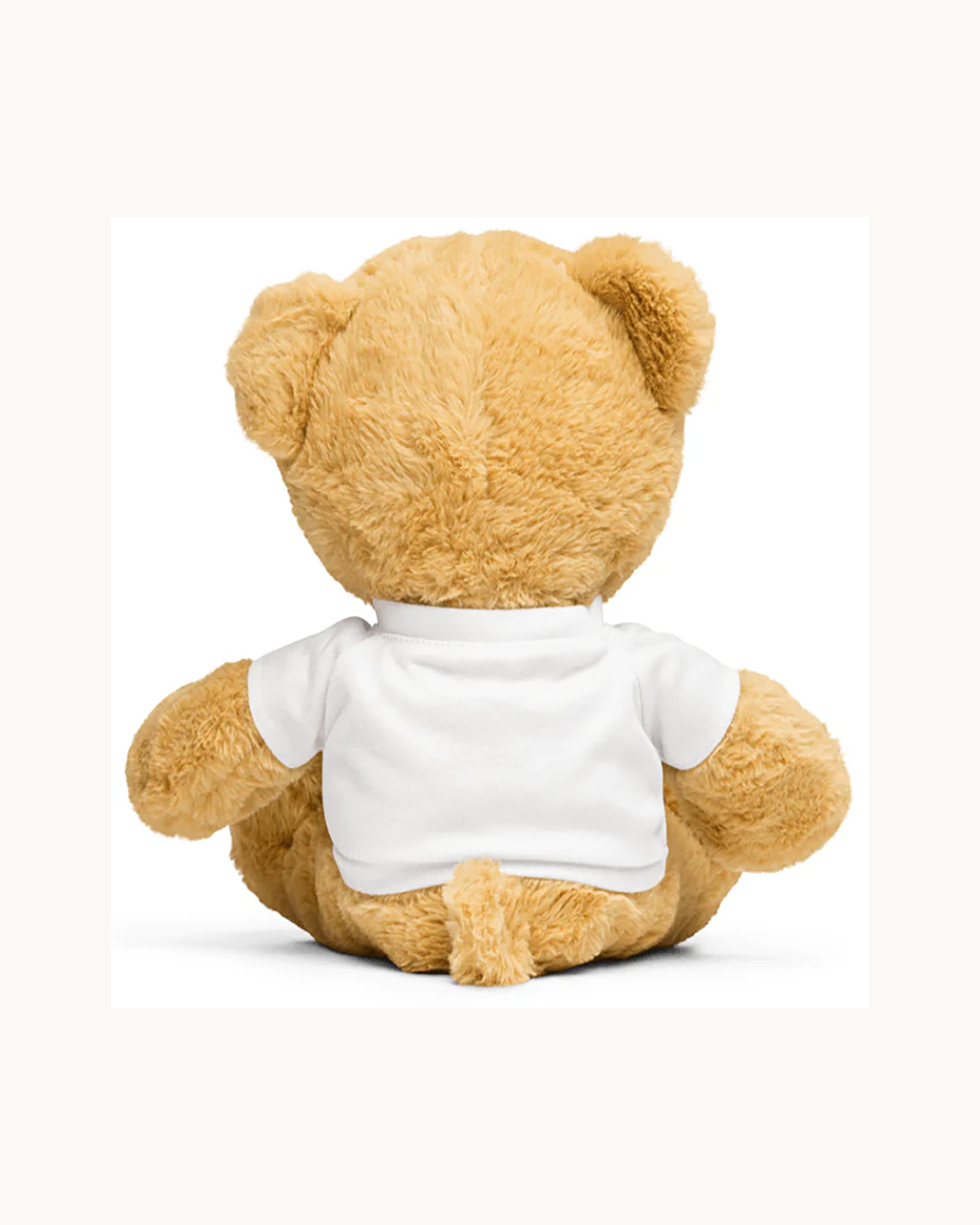 Education Believer Teddy Bear