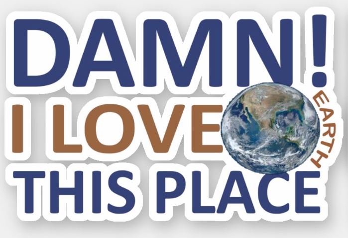 I Damn! Love This Place Earth Sticker Pack