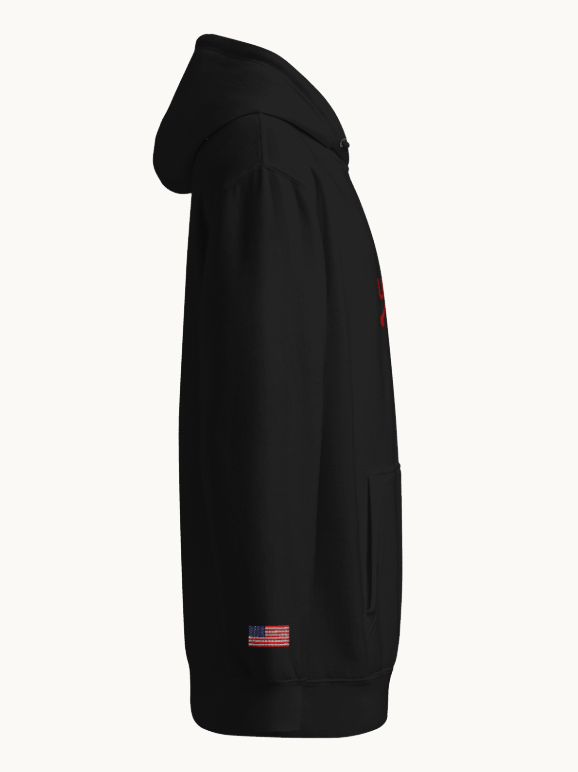 USA Embroidered Hoodie